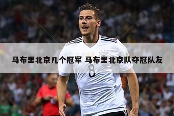 马布里北京几个冠军 马布里北京队夺冠队友